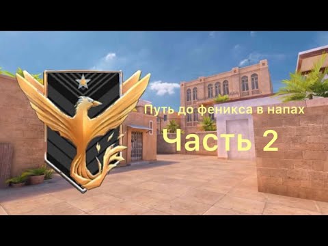 Видео: Путь до феникса в напарниках часть 2