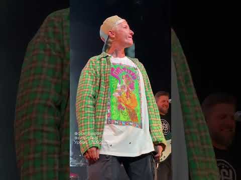 Видео: Москва, Урбан, 17.09.23 - Диана Арбенина Ночные Снайперы (почти полный концерт)