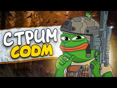 Видео: ШУМИМ В РЕЙТИНГЕ КАЛ ОФ ДЬЮТИ МОБАЙЛ / CALL OF DUTY MOBILE СТРИМ