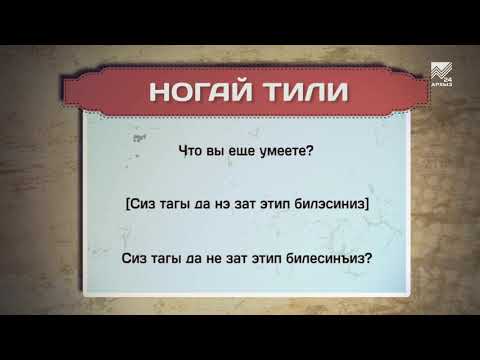 Видео: Разговорник (ногайский язык) (11.03.2020)
