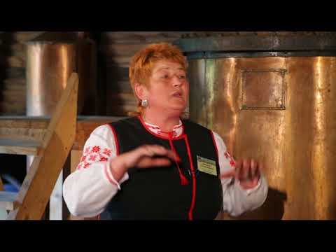 Видео: Я хочу это увидеть! Беловежская пуща.