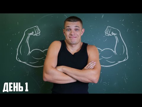 Видео: Твой Первый День в Качалке (Пошаговое Руководство для Новичков +  Полный План Тренировок)