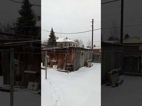 Видео: И к нам пришла зима.