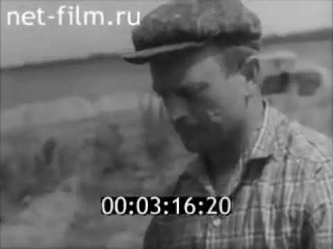 Видео: Уплотнение грунтов 1967