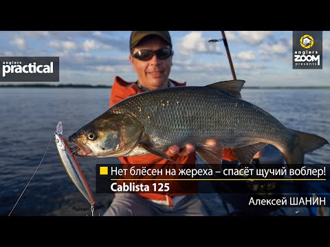 Видео: Нет блёсен на жереха – спасёт щучий воблер! Cablista 125. Алексей Шанин.Anglers Practical