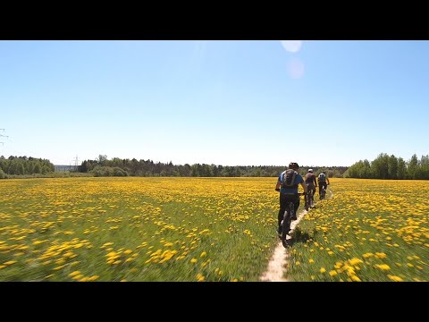 Видео: Раскатываемся ПО КРАСОТЕ! Долгожданный первый выезд