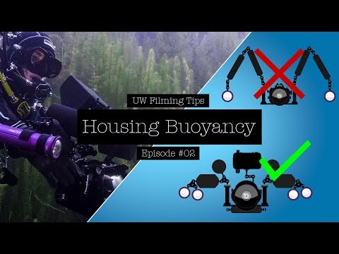 Видео: КАК ВЫБРАТЬ ПРАВИЛЬНУЮ ПЛАВУЧЕСТЬ ДЛЯ ВАШЕЙ ПОДВОДНОЙ КАМЕРЫ