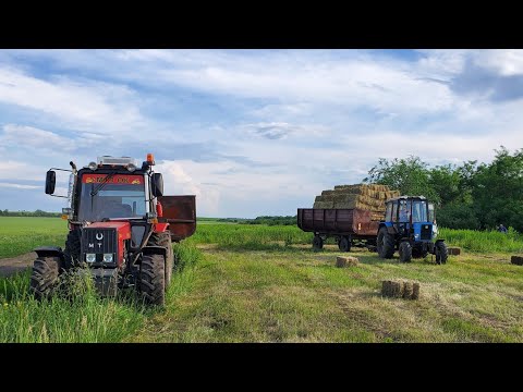 Видео: Сінокос Батько на МТЗ 892.2, МАТУСЯ на МТЗ 82.