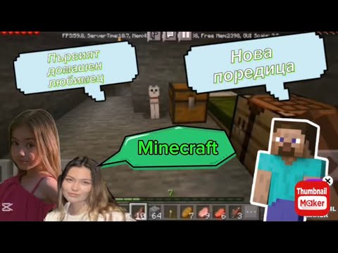 Видео: Майнкрафт поредица с Мони! Еп. 1 🪵🏡🐈🏞️⚒️🛏️