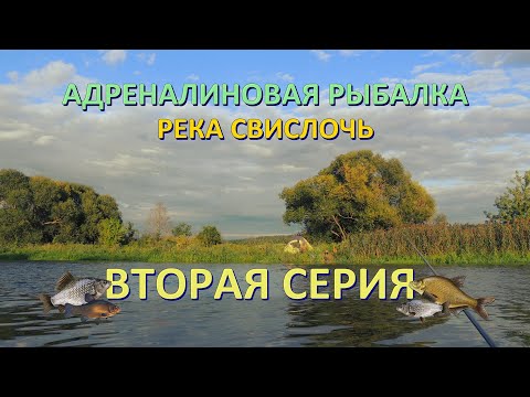 Видео: ПОШЁЛ ЖОР | РАСКЛЕВАЛАСЬ РЫБКА | Серия 2 | Свислочь 2022 | Рыбалка в Беларуси | Fishing in Belarus