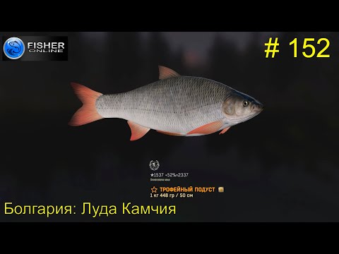 Видео: #152 Болгария:Луда Камчия ч.17 Путь к серебру: поиски неуловимого подуста. Прохождение Fisher Online
