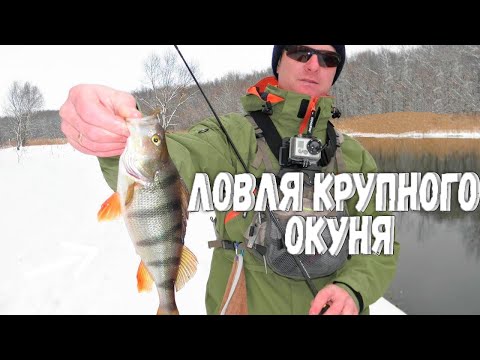 Видео: Ловля окуня на спиннинг с берега зимой