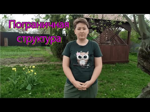 Видео: Пограничная структура: сложные коммуникации с пограничным. Психоанализ