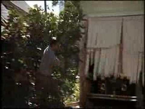 Видео: Ночные Снайперы - Бонни и Клаид