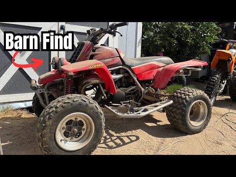 Видео: Yamaha Banshee Barn Find за 1800 долларов. Заведется ли?