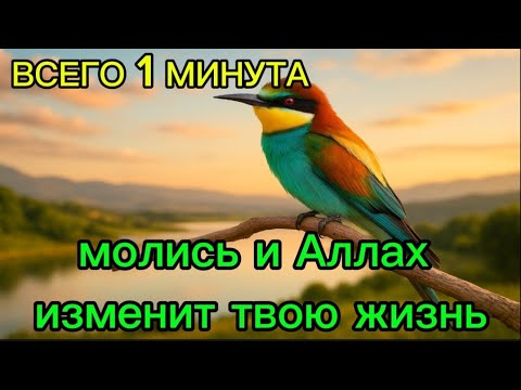 Видео: 👆🏽Теперь прочтите эту молитву, и удача придет в ваш дом.🤍✨
