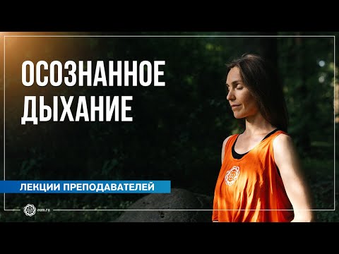 Видео: Как эффективно концентрироваться на дыхании и взрастить осознанность к телу. Анастасия Исаева