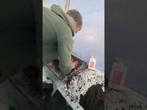 Видео: технология высадки кассетной рассады клубники. сорт Мурано.