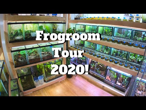 Видео: Тур Frogroom в марте 2020 года!