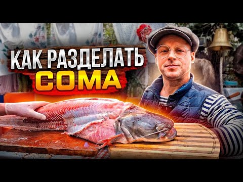 Видео: КАК ПОДГОТОВИТЬ К ШАШЛЫКУ БОЛЬШОГО СОМА!!