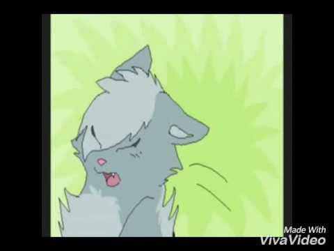 Видео: Коты Воители;Песня Звездоцапа и Синей Звезды.