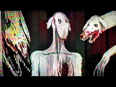 Видео: ГОЛОД ПОЖИРАЕТ ЕГО ИЗНУТРИ | Аналоговый Хоррор DEXTER: el perro