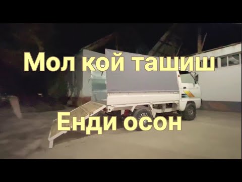 Видео: Мол кой ташишга молжалланган борт