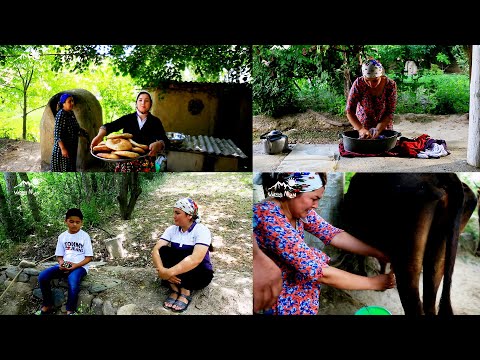 Видео: Як рузи духтари Шахр дар Деха \ Панчакент | Panjakent