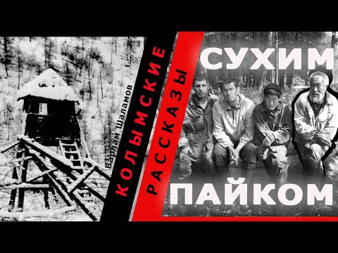 Видео: Варлам Шаламов.  Колымские рассказы.  Сухим пайком|  🎧 Аудио рассказы