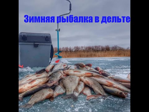 Видео: #Балхаш. Зимняя рыбалка. Дельта р.Или.  Академия рыбалки "Маяк"