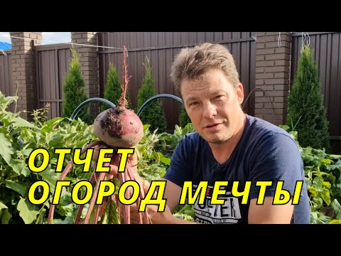 Видео: самый лучший огород на 1 сотке -  плюсы и минусы выделенного огорода с бетонными дорожками