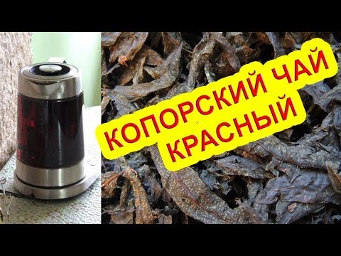 Видео: Иван-чай - красный (рубиновый) копорский чай 🌺 или "холодная магия". Russian tea.