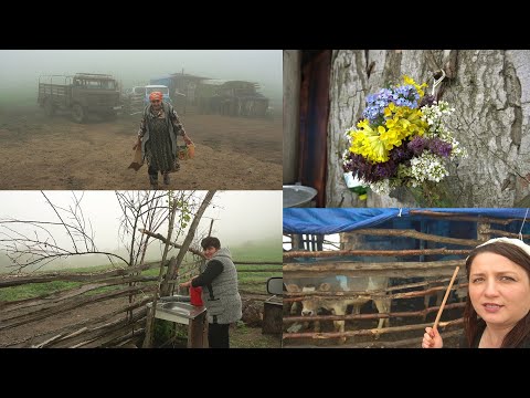 Видео: ՔՈՉԸ Տարանք ՍԱՐ - Բարով Գնաք, Բարով Գաք - Շամշադինի Համը - Шамшадин