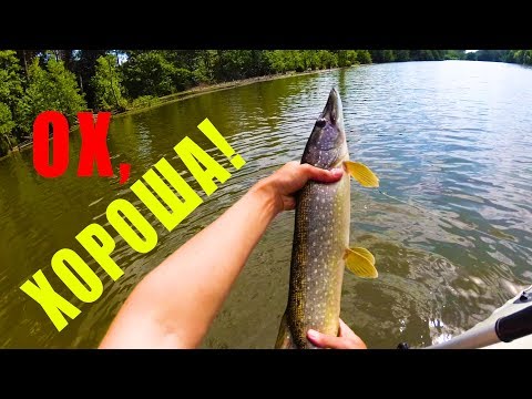 Видео: ЩУКА на СПИННИНГ В ИЮЛЕ с ЛОДКИ. ЖИВУТ ТУТ ЕЩЕ ХОРОШИЕ РЫБИНЫ!