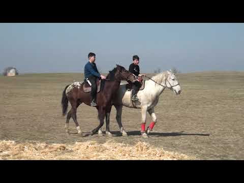 Видео: Сайрам ауданы Құрлық ауылы Ахметов Абылайдың бата көкпары