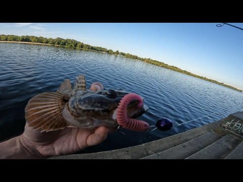 Видео: З ТАКИМ БИЧКОМ І СУДАКА НЕ ТРЕБА🐟🎣🇺🇦🌱😱😱😱