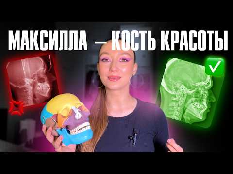 Видео: МАКСИЛЛА: как изменить положение верхней челюсти