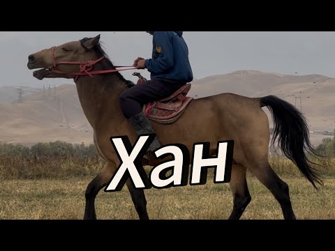 Видео: Хан тел:+996-509-655-757.  9 октября 2025 г.