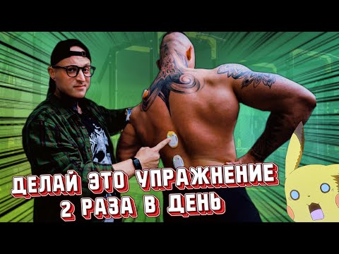 Видео: КАК НАКАЧАТЬ СПИНУ ПО НАУКЕ!