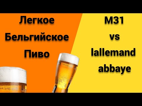 Видео: Легкое Бельгийское Пиво!Сравнение дрожжей М31 и лаллеманд абби!Эксперимент с дрожжами!