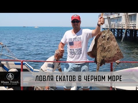 Видео: Такой рыбалки на Черном море никто не ожидал! Ловим скатов(морскую лису) на удочку / ИванTrotiL