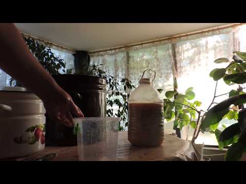 Видео: Как легко готовится медовая сыта/Пасека 2018/как легко размешать севший мёд