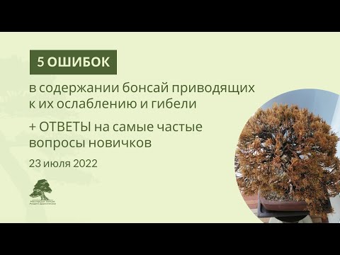 Видео: 5 фатальных ошибок в содержании бонсай, приводящих к ослаблению и гибели деревьев