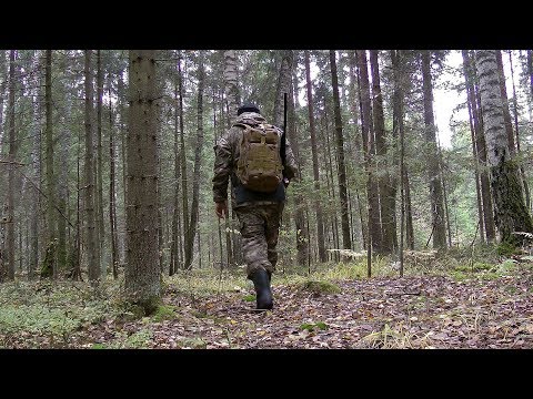 Видео: Мембранный костюм для охоты | Верный выбор | KE Tactical Горка Active