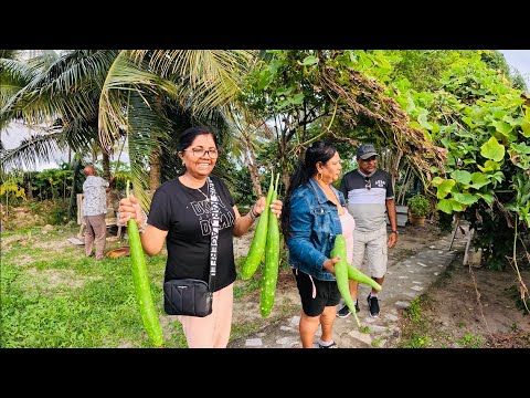 Видео: ИХ ПЕРВЫЙ ВИЗИТ В МОГУЧИЙ ЭССЕКИБО