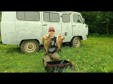 Видео: Рыбалка на Волге с ночёвкой. Новое место, хорошие лещи!