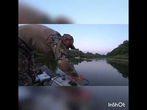 Видео: развеял миф о безклевье