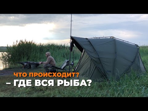 Видео: ПОЧЕМУ НЕ КЛЮЕТ? | МЕРТВЫЕ ЗОНЫ | ГДЕ КАРП?