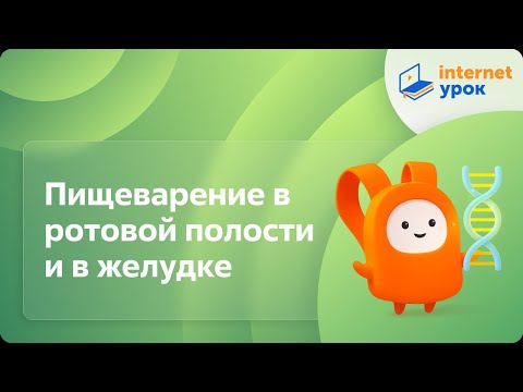 Видео: Пищеварение в ротовой полости и в желудке. Видеоурок по биологии 8 класс