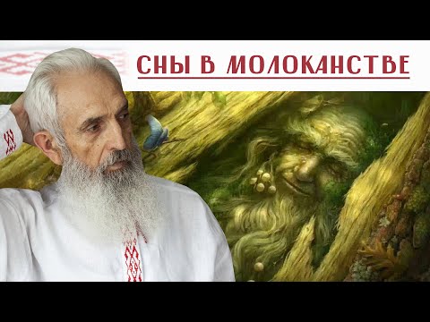 Видео: Виктор Тикунов. Сны в молоканстве. Сбывающиеся сны.